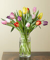 Rush of Color Assorted Tulip Bouquet