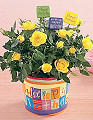 FTD  Happy Birthday Planter