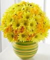 FTD Sunburst Bouquet - PREMIUM FTD Sunburst Bouquet - PREMIUM
