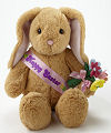 Build A Bear Hoppy Easter Bunny - WebGift Build A Bear Hoppy Easter Bunny - WebGift