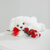Puppy Hugs and Sweets - WebGift Puppy Hugs and Sweets - WebGift
