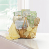 Mommy and Baby Too  -  WebGift