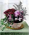 FTD� Mum Planter Basket