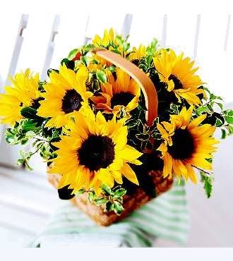 FTD  Sunflower Basket
