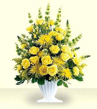 FTD  Glowing Ray Arrangement
