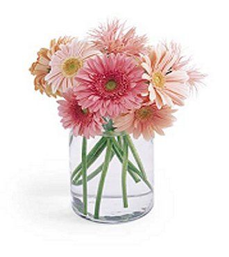 Gerbera Daisy Bouquet - FedEx