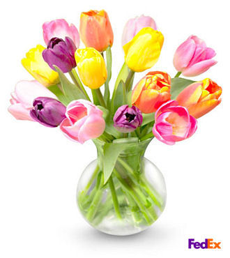 Mixed Tulip Bouquet - FedEx