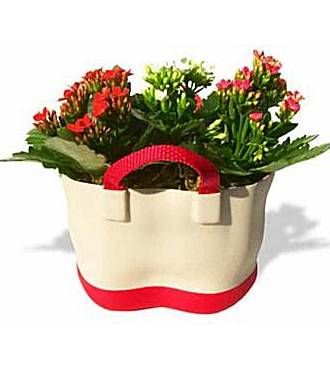FLOWER TOTE - FedEx