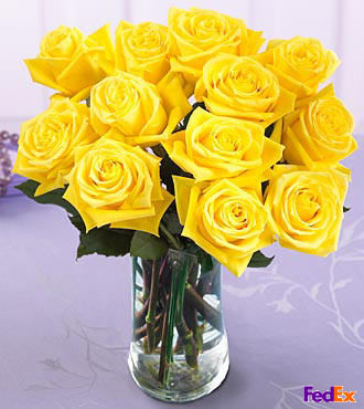 Dozen Medium Yellow Roses - FedEx