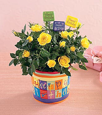 FTD  Happy Birthday Planter