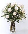 Dozen White Roses - FedEx