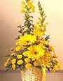 Sunshine Basket