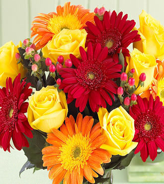 Best Wishes Rose and Daisy Bouquet - FedEx