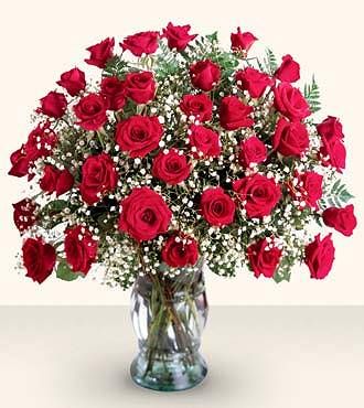 Three Dozen Red Roses